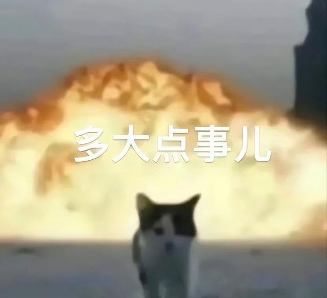 包含史诗诞生!篮球竞技常言道:意外总在即的词条