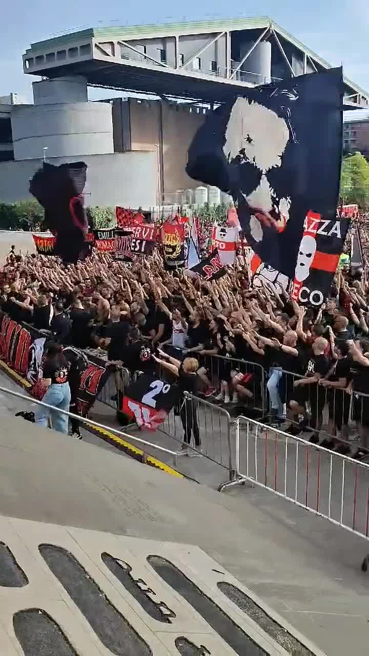 回归战火焰决赛,球迷热情不减 回归战火焰决赛,球迷热情不减