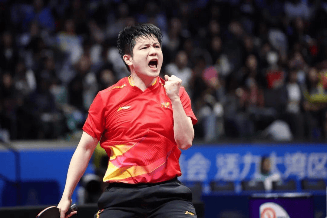 开云体育登录-葡萄牙队逆转法国队，樊振东关键制胜的简单介绍